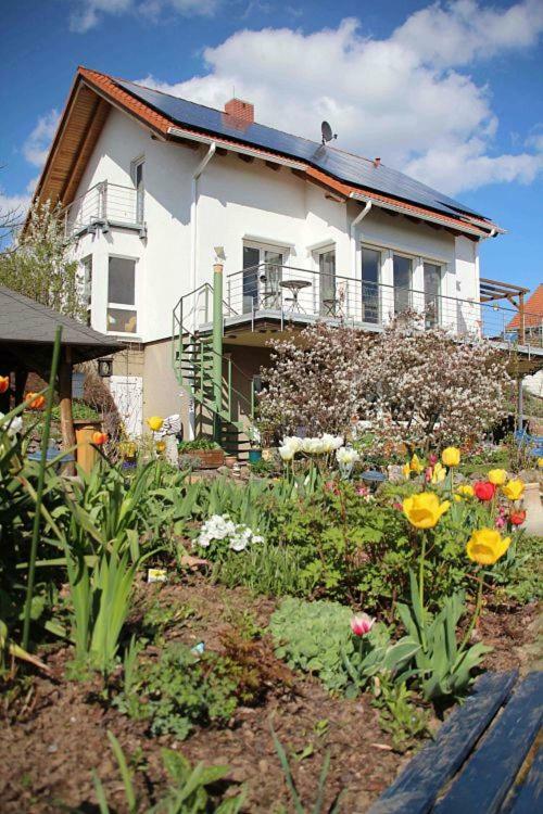 Ferienwohnung Dr. Vera Schmidt Крайша Экстерьер фото